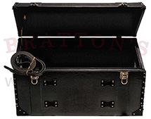 TRUNK-STRAIGHT BACK, BLACK VINYL