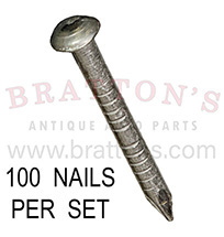 STAINLESS BODY NAILS