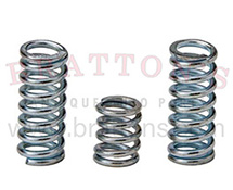 FRONT ENGINE MOUNT COIL SPRINGS